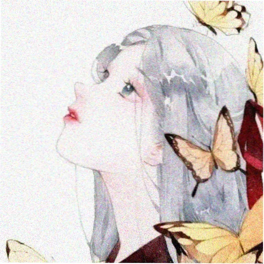 观众头像 山那边